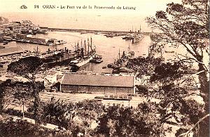 PO e- 428